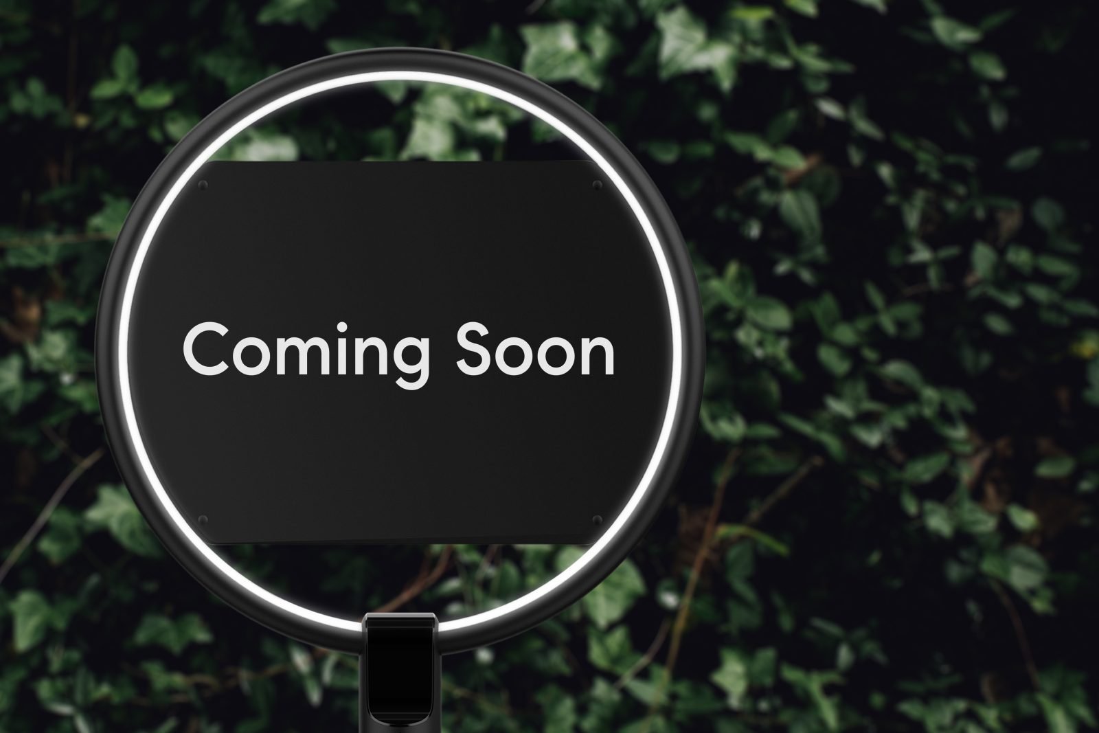 9803 Clanton Pines Drive