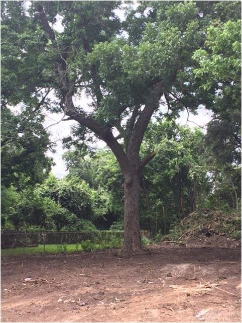 5225 Shreveport Boulevard